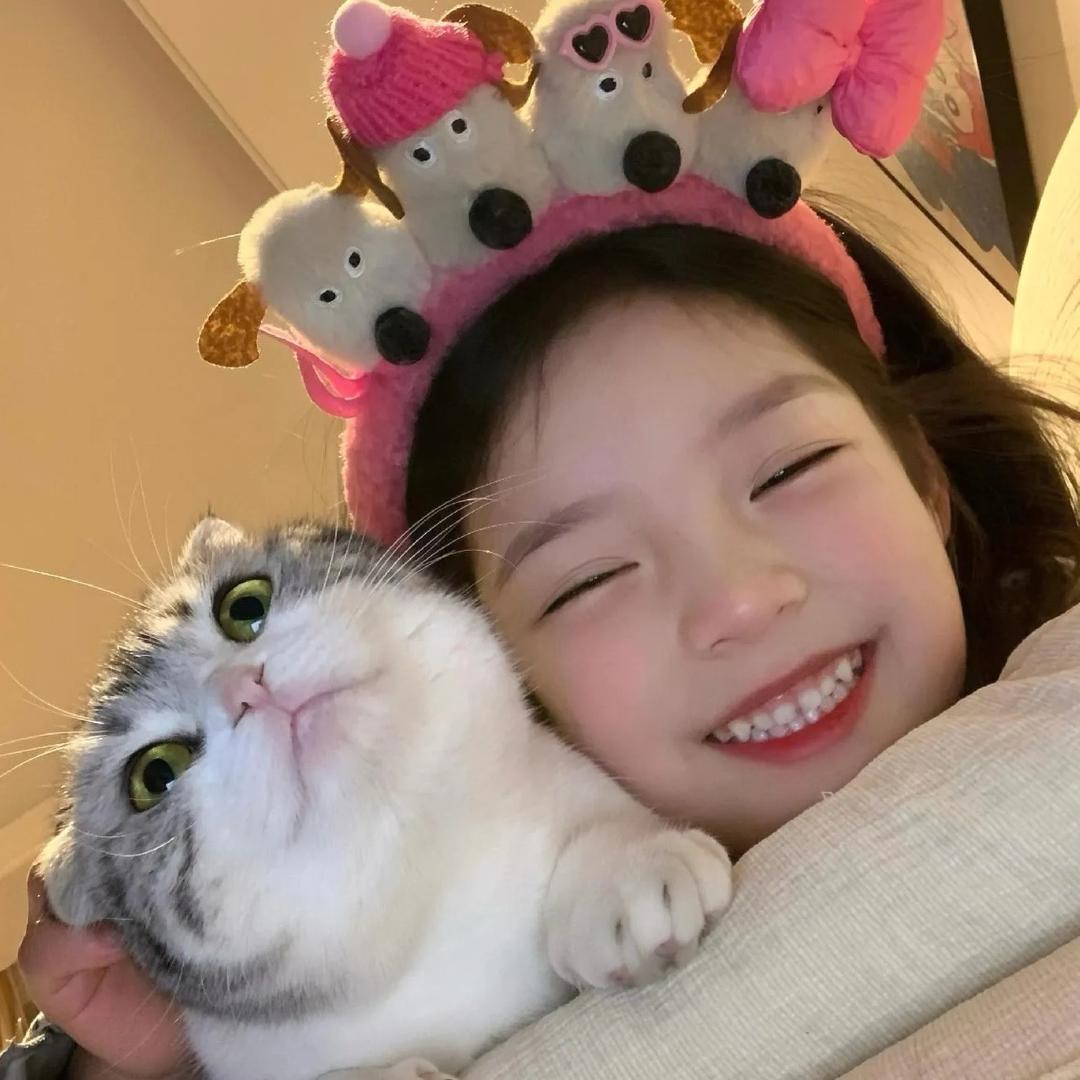 团团麻麻
