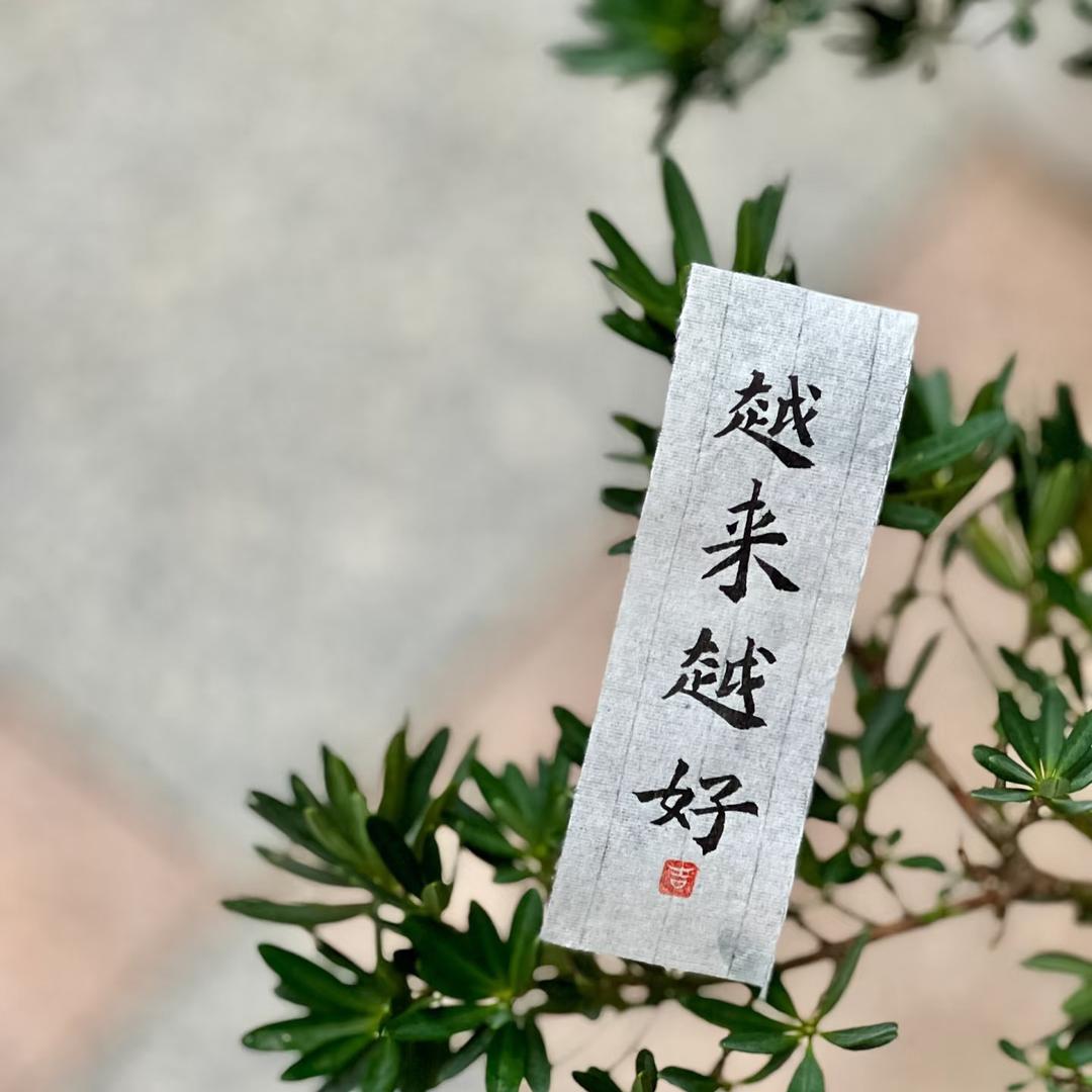 如意（首播不定时）