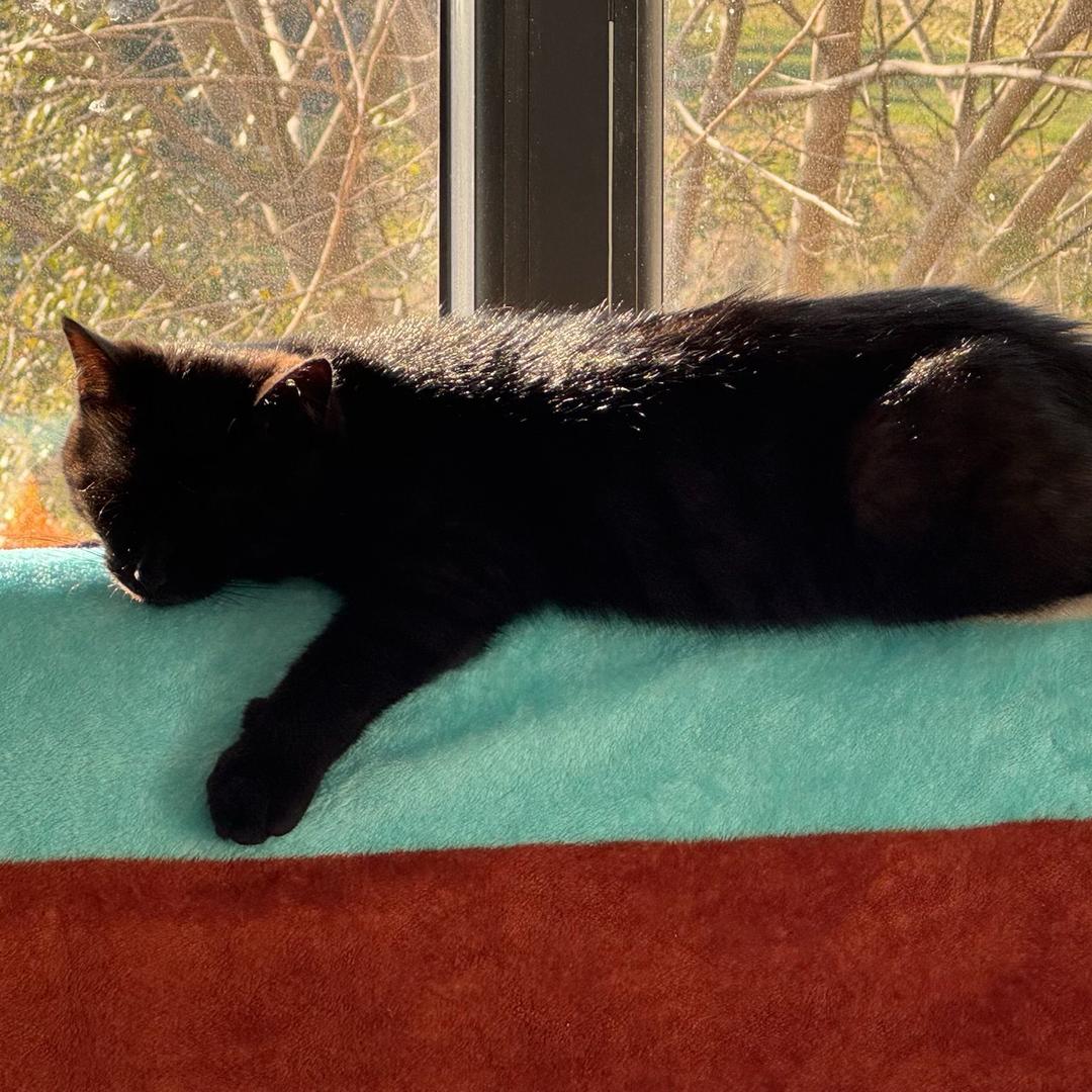 源迅智印数码科技