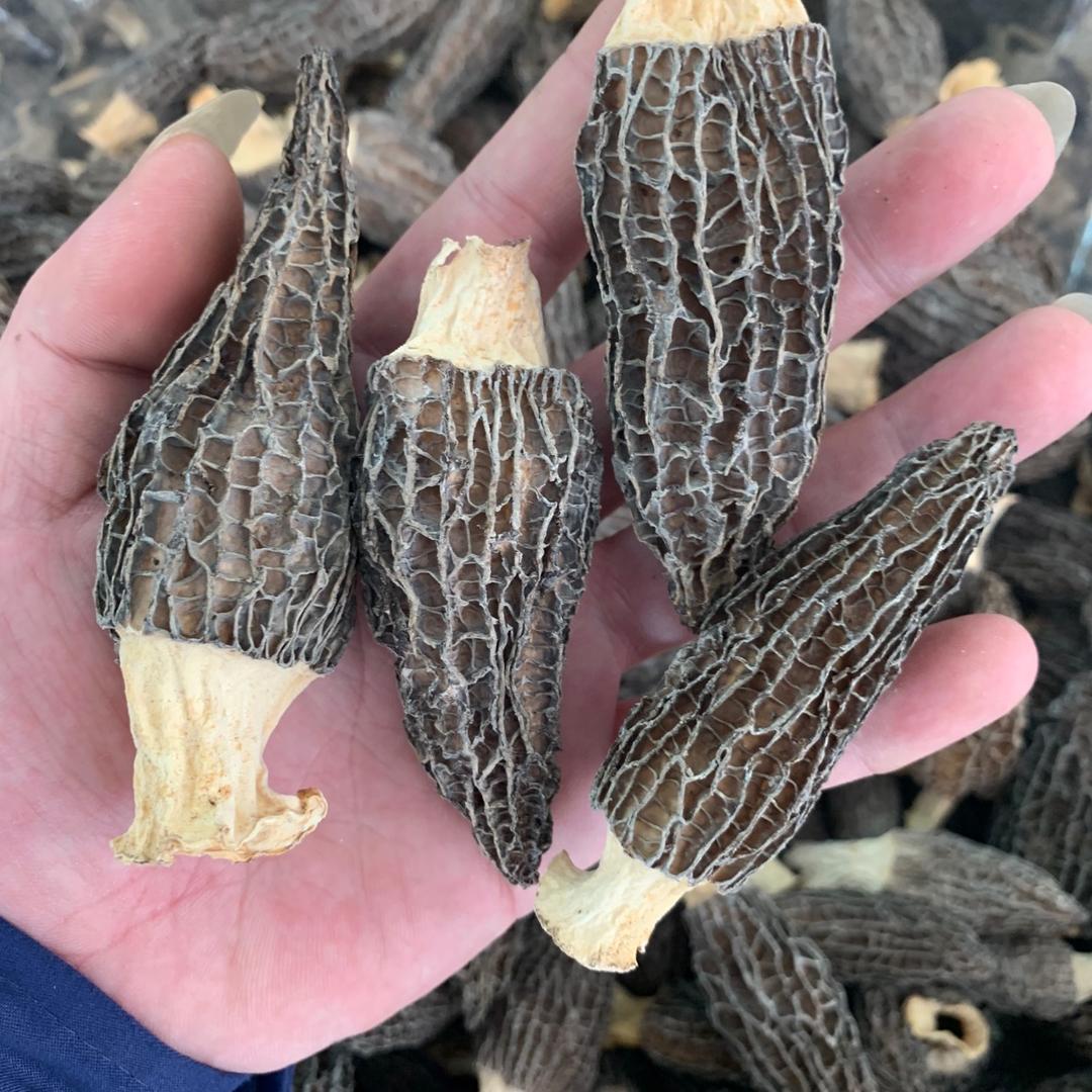 速创未来，普宁仓💝