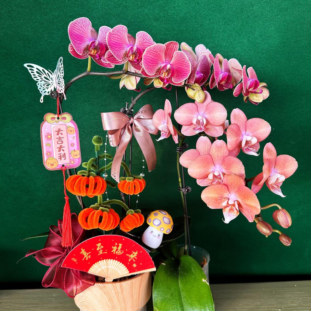 绿野星辉花艺