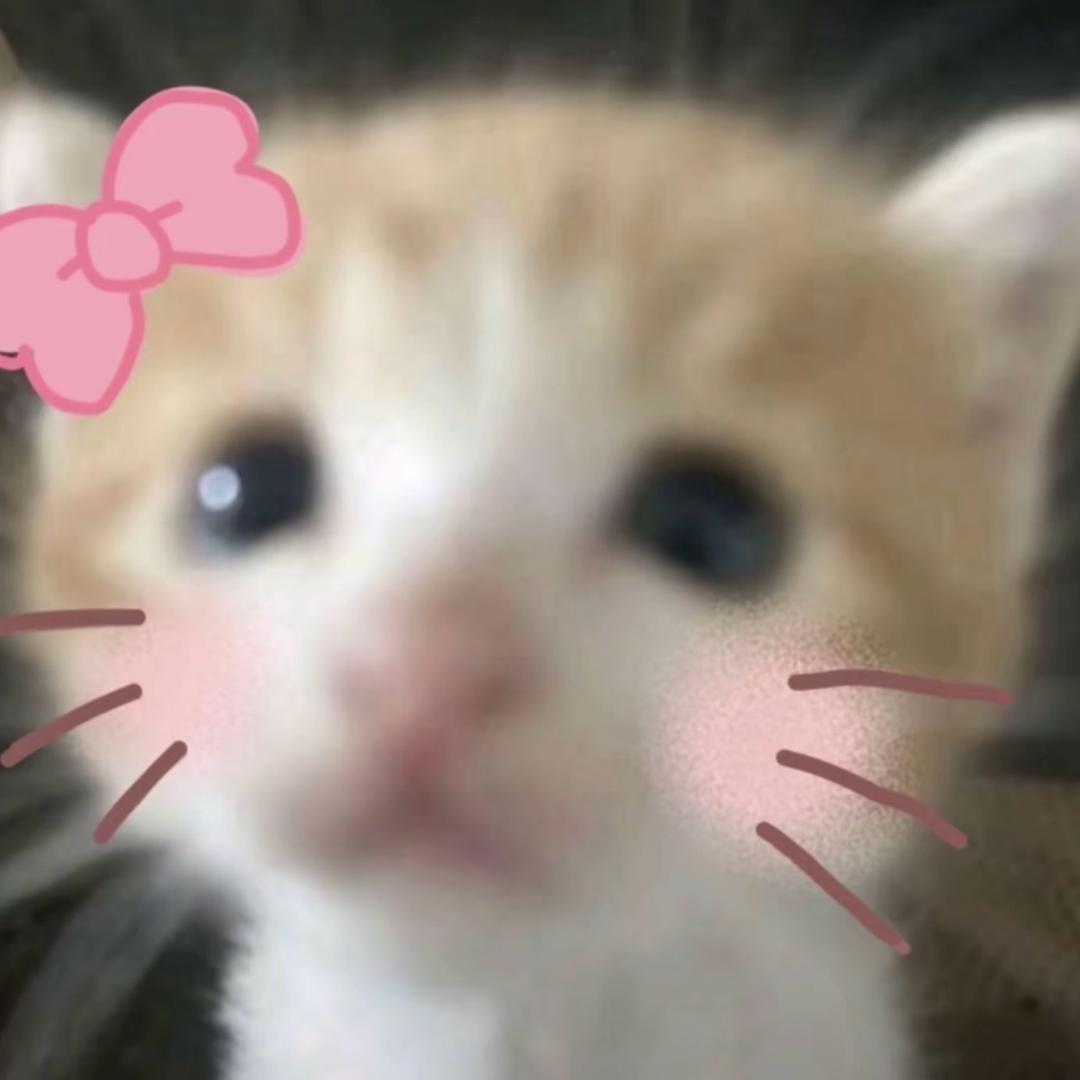 噜噜🐣