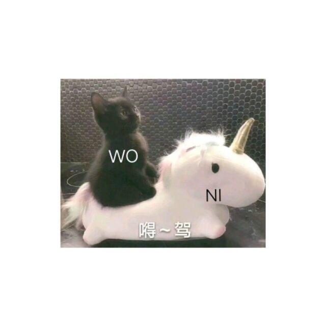 卿盖如故
