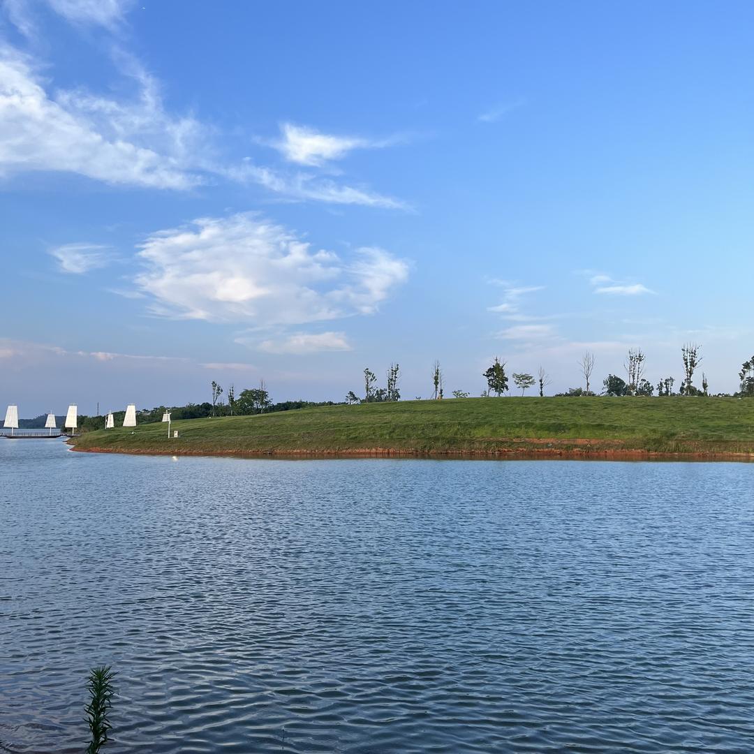 普陀山的毛师傅