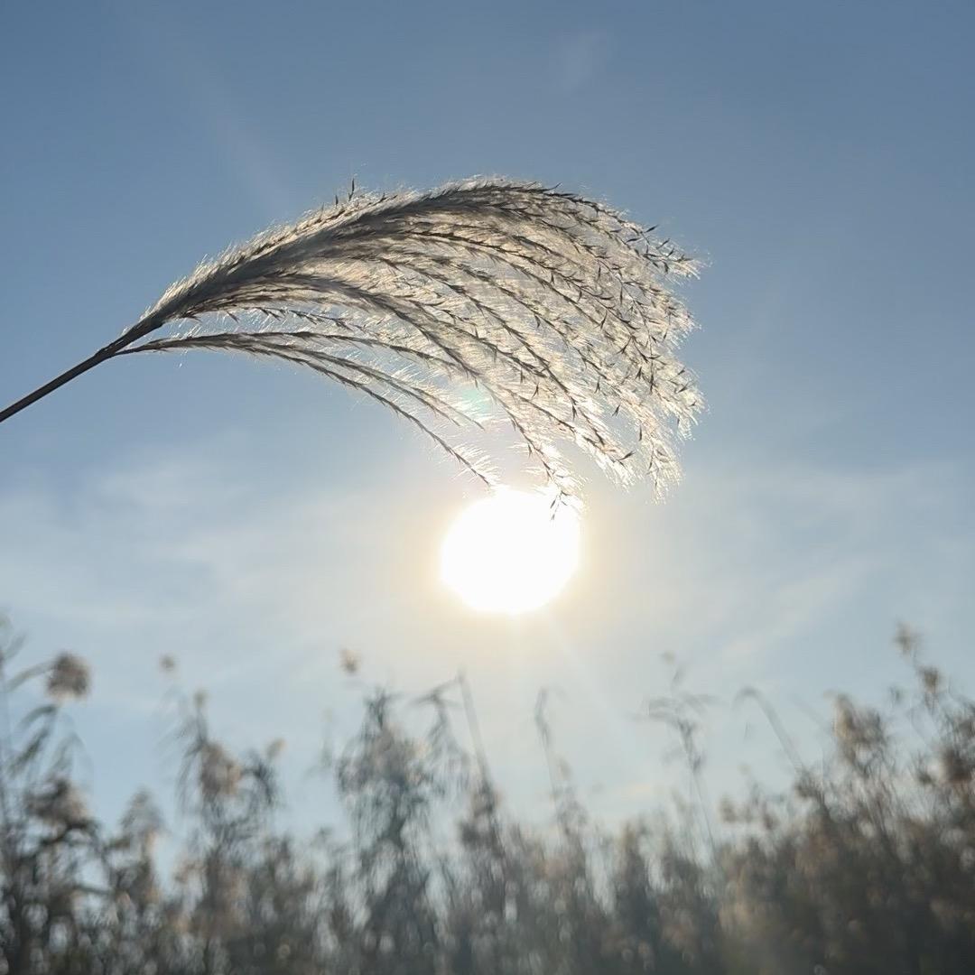 𝒵𝒽ℴ𝓊ᥫᩣ@𝒵𝒽ℴ𝓊ᥫᩣ