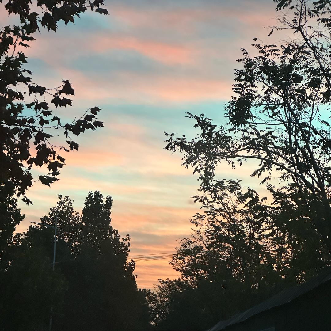 棉花糖里没有棉花🍬