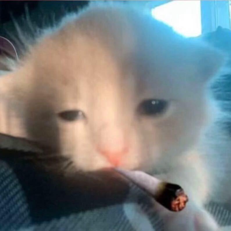 蛋蛋ㅤ