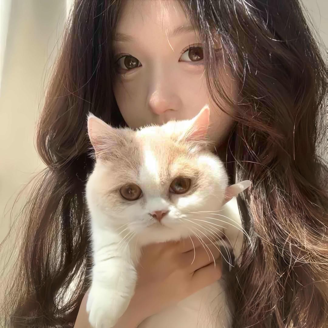 如翼🪽