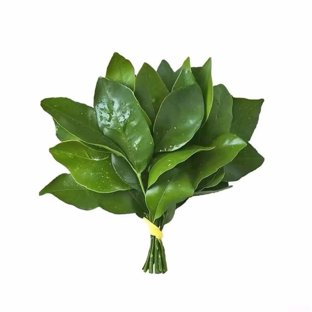 大英雄不理小流氓