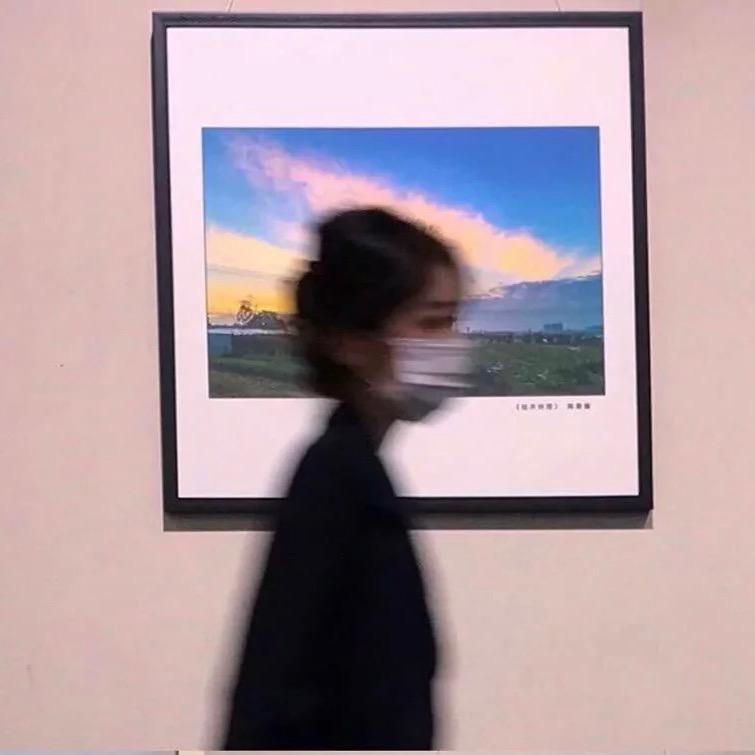 猫和你都想了解