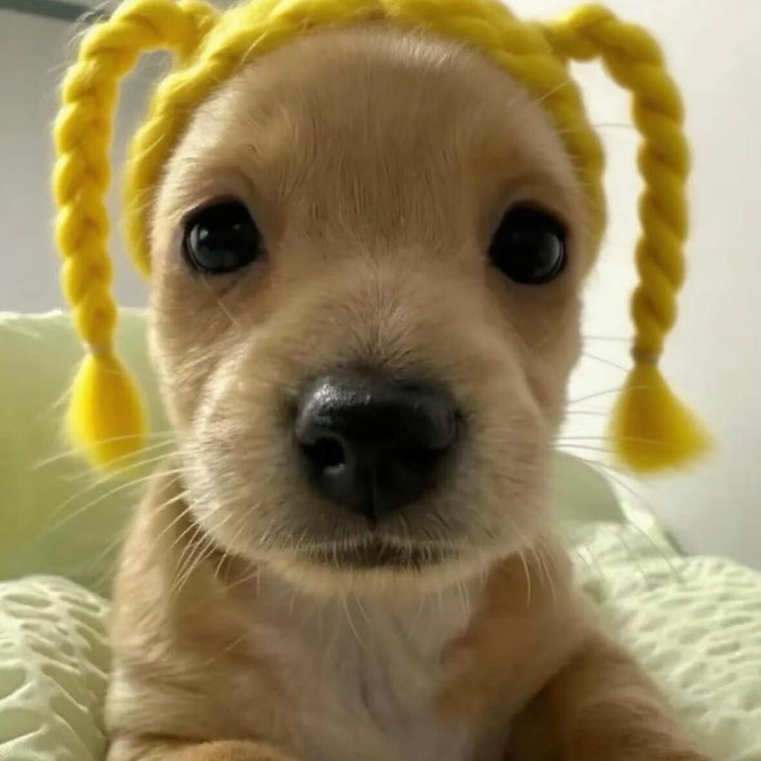 哈哈@