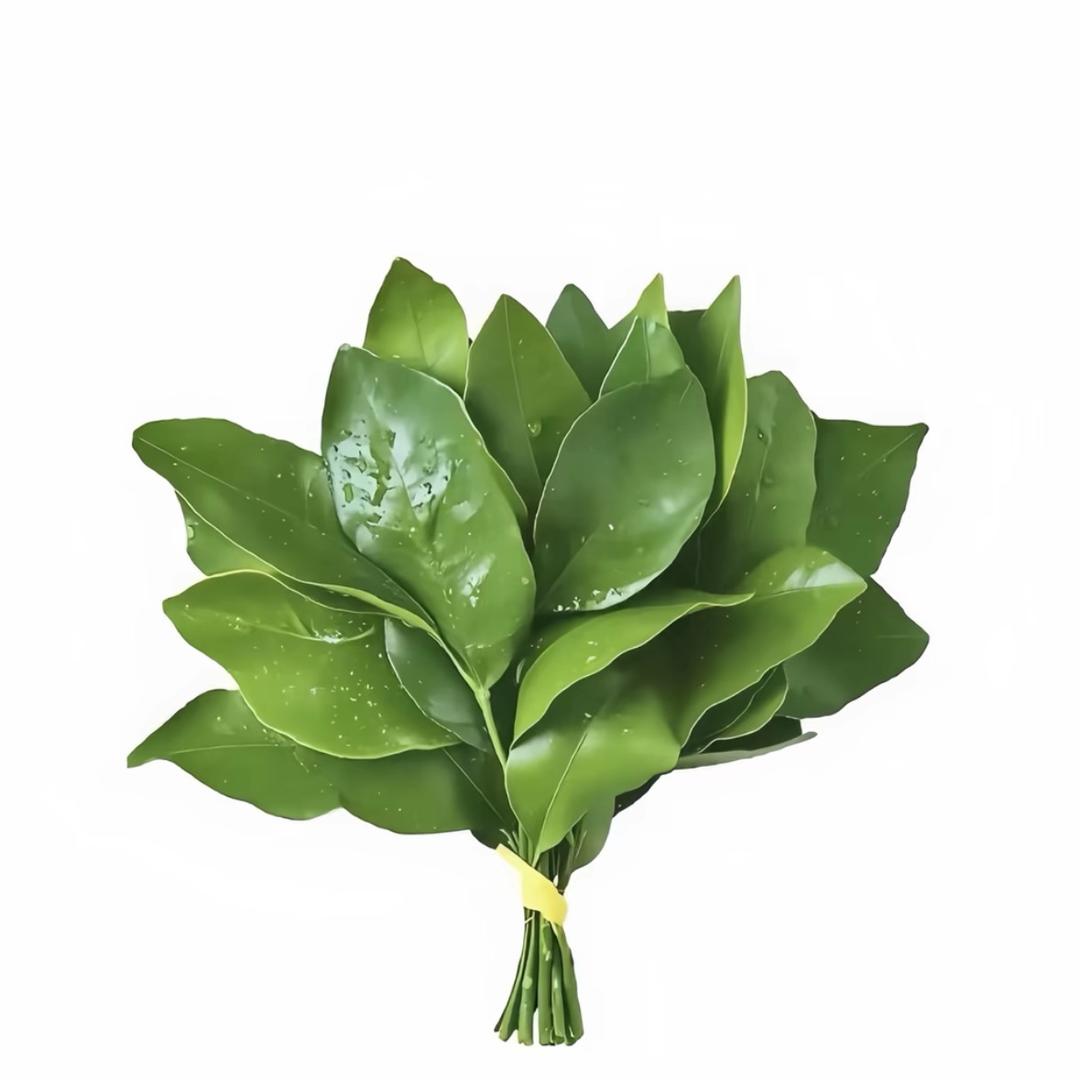 智障收留所马所长（沉迷游戏版）