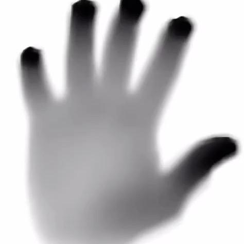 满山的猴子我腚最红