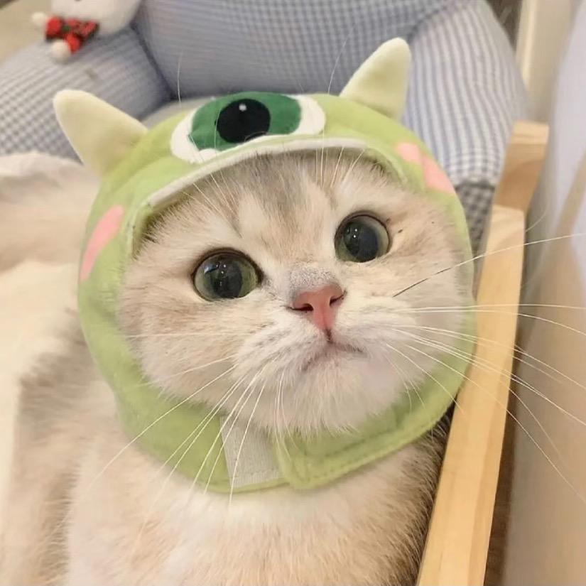 咪咪酱