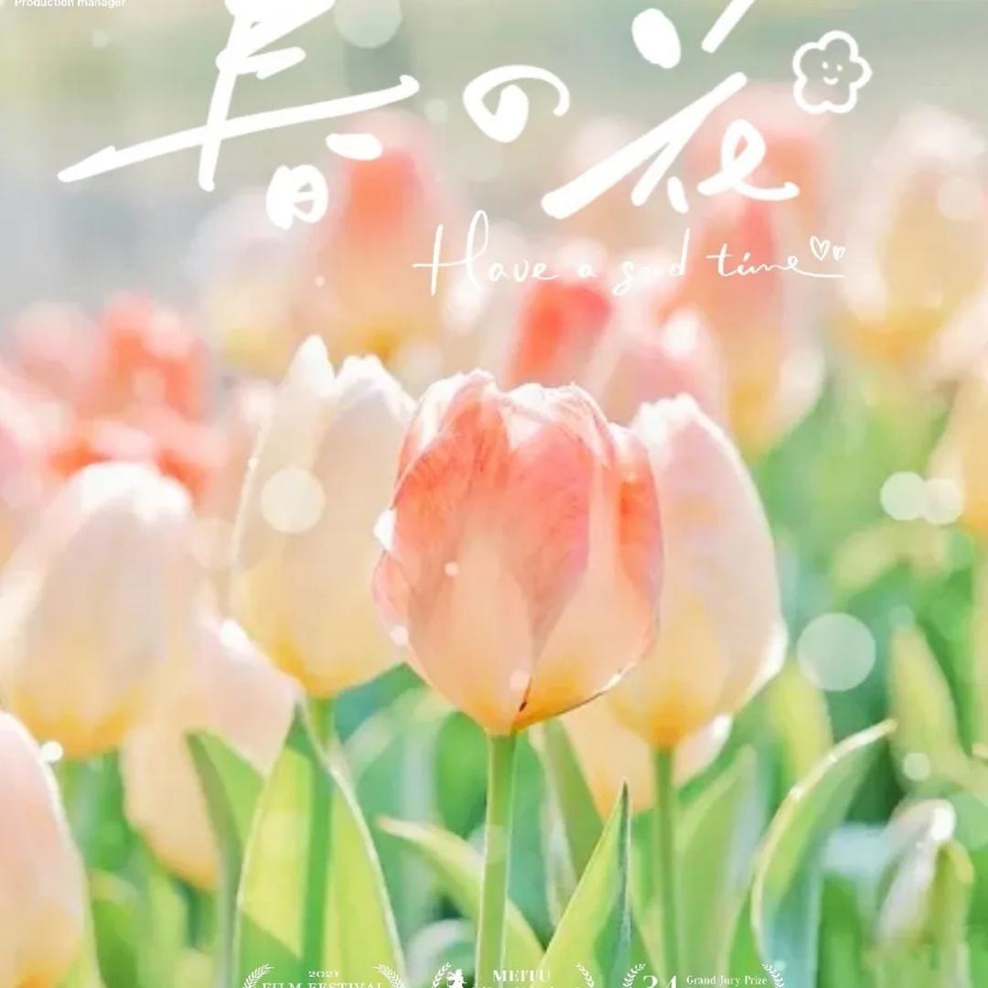 花开红艳艳