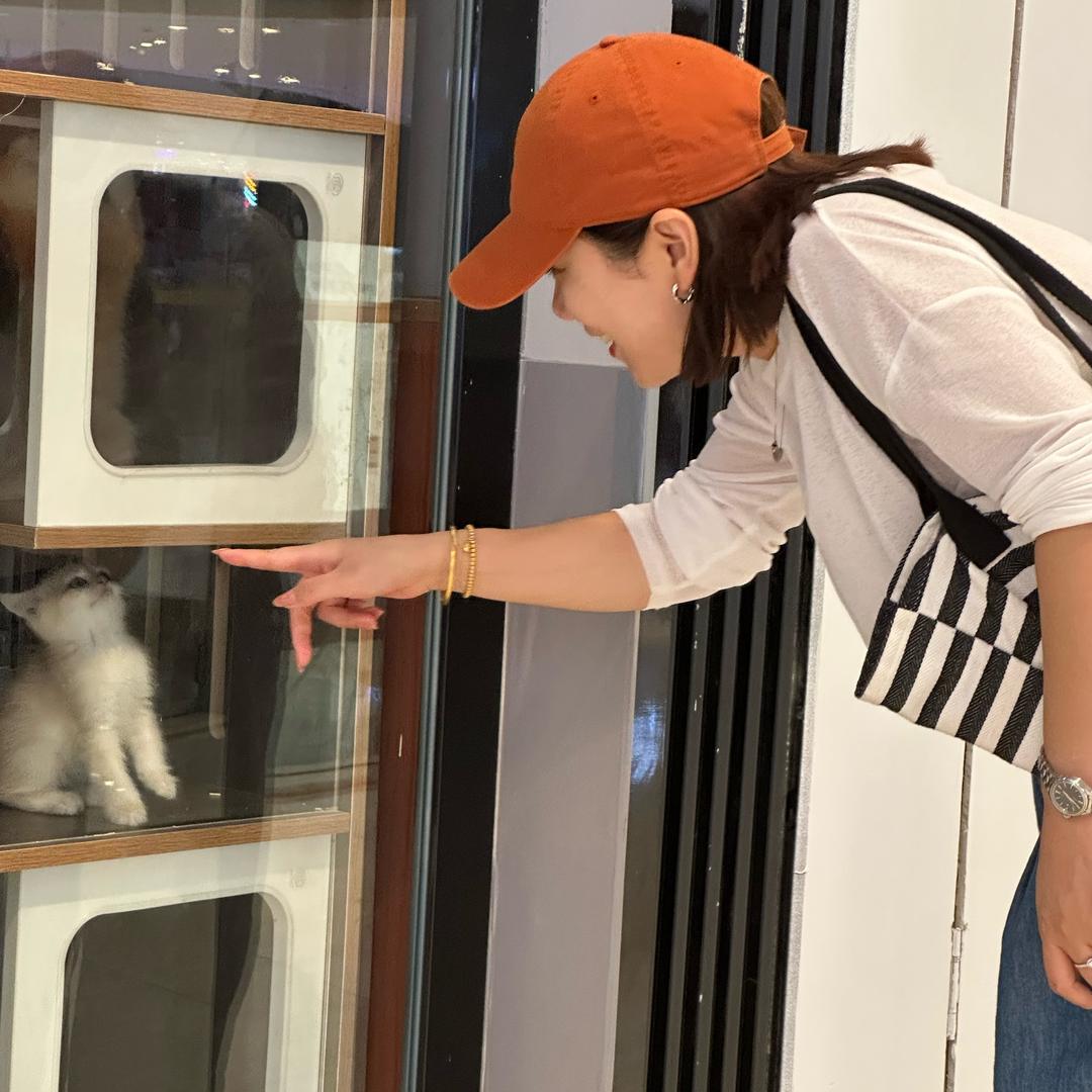 九月猫🐱