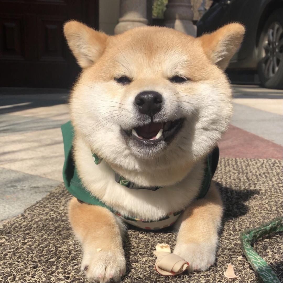 月落
