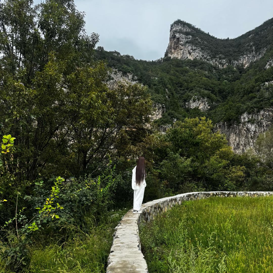 常大胖.礼修日常