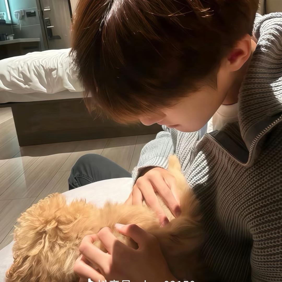 帅气霸王龙战士