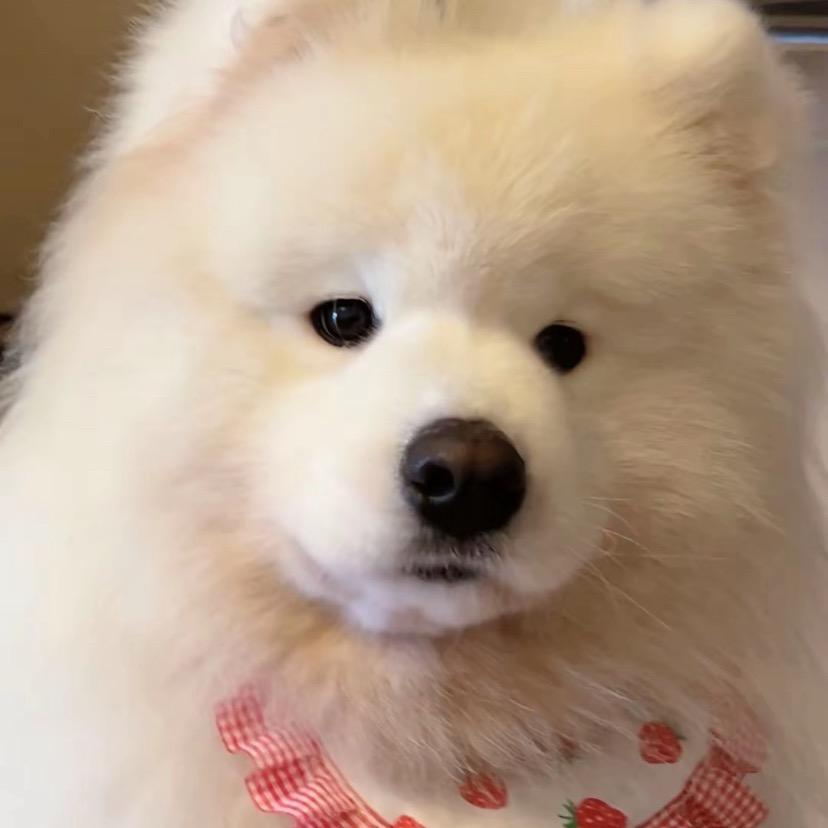 源味小鱼