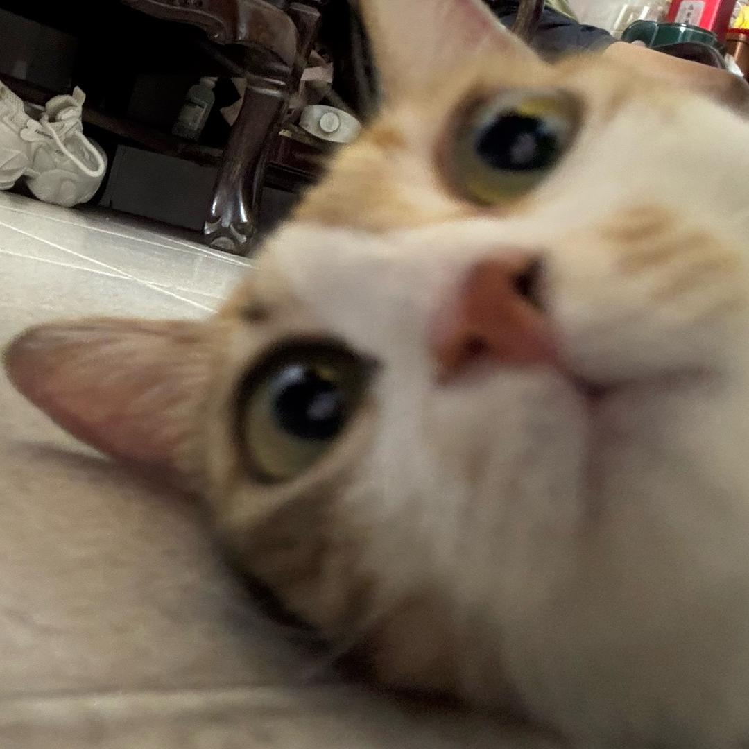 生成α酮戊二酸