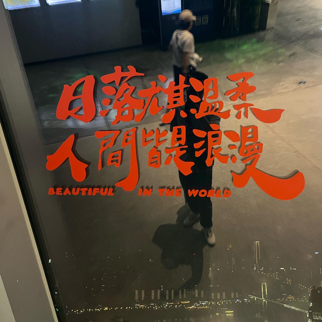 心向阳光
