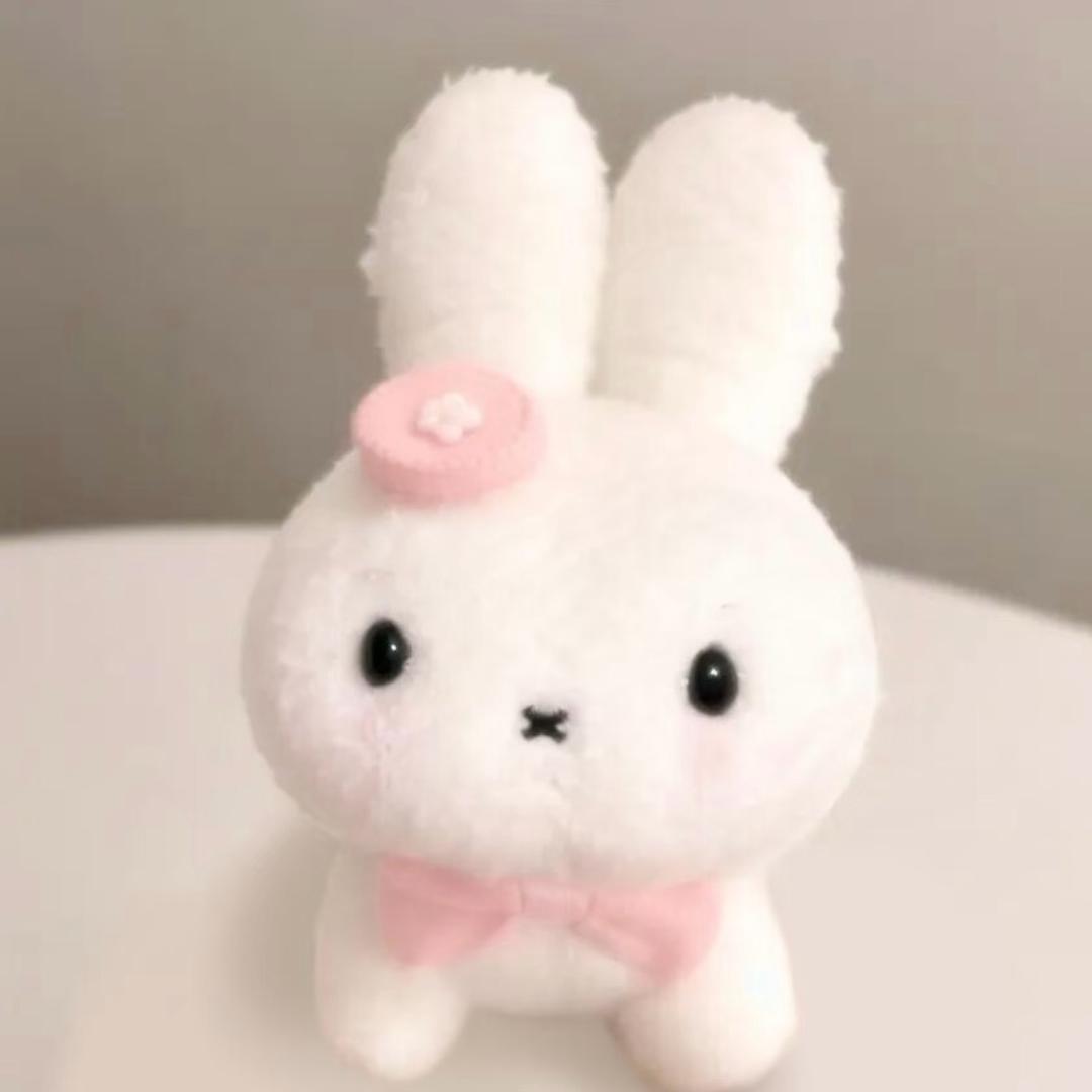 小猫吐司