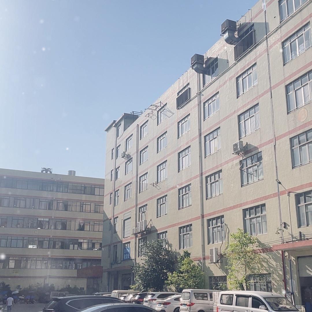 美业问题肌源头工厂