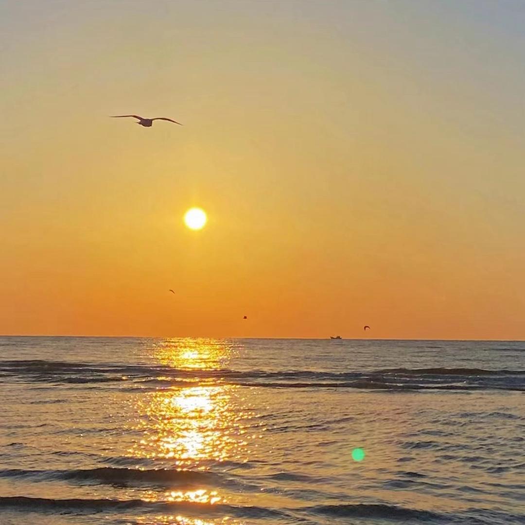 我知道你很急，但你先别急