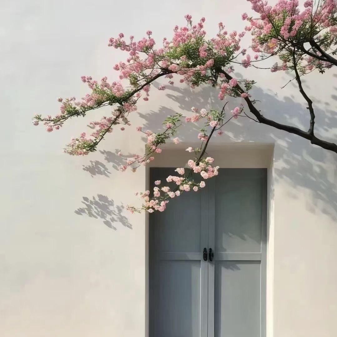 暖暖🌼