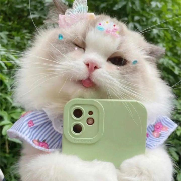 呦呦