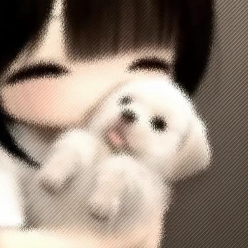 白日梦