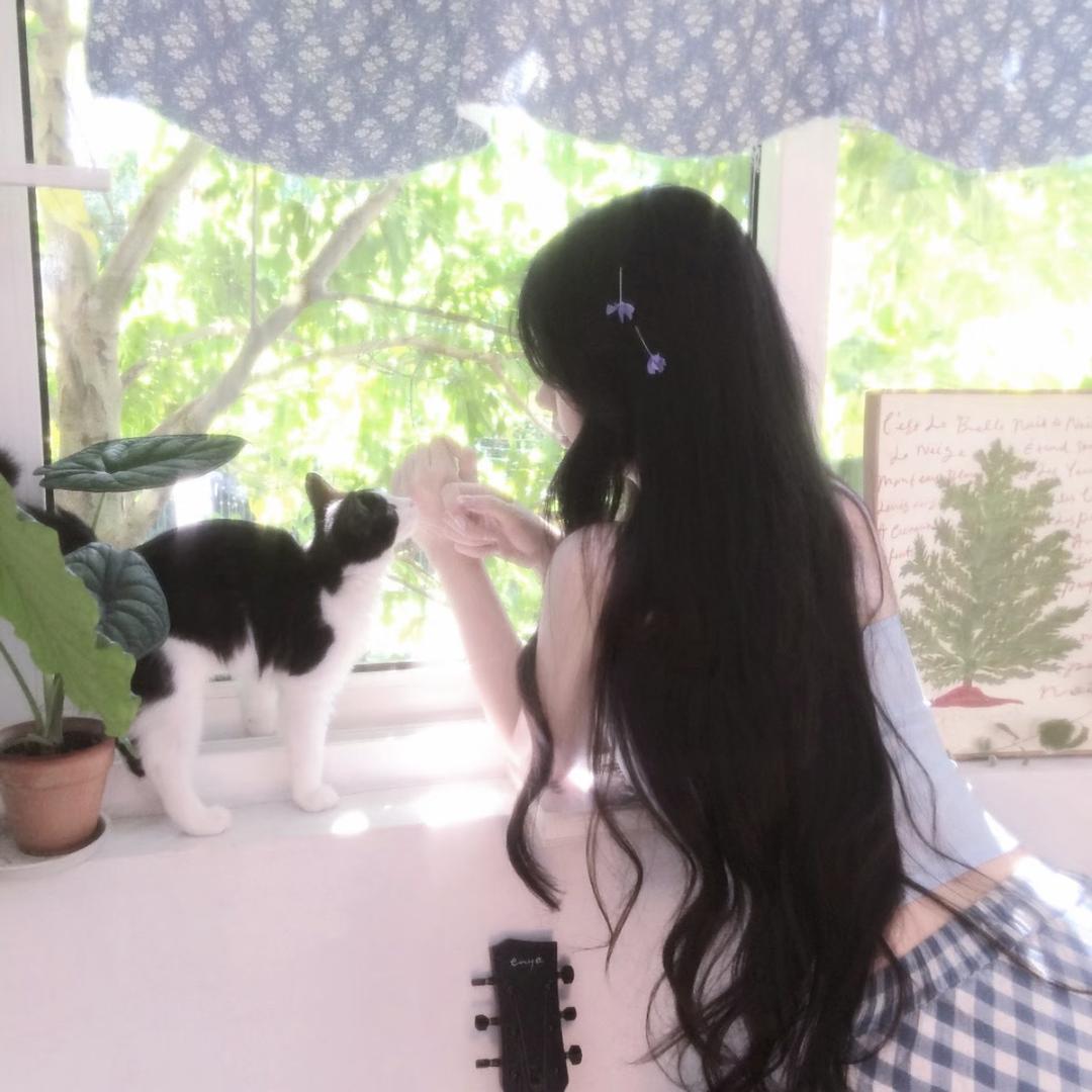 小千代