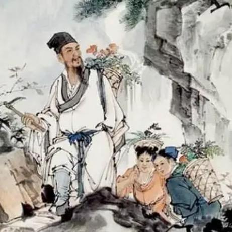 石斛林下