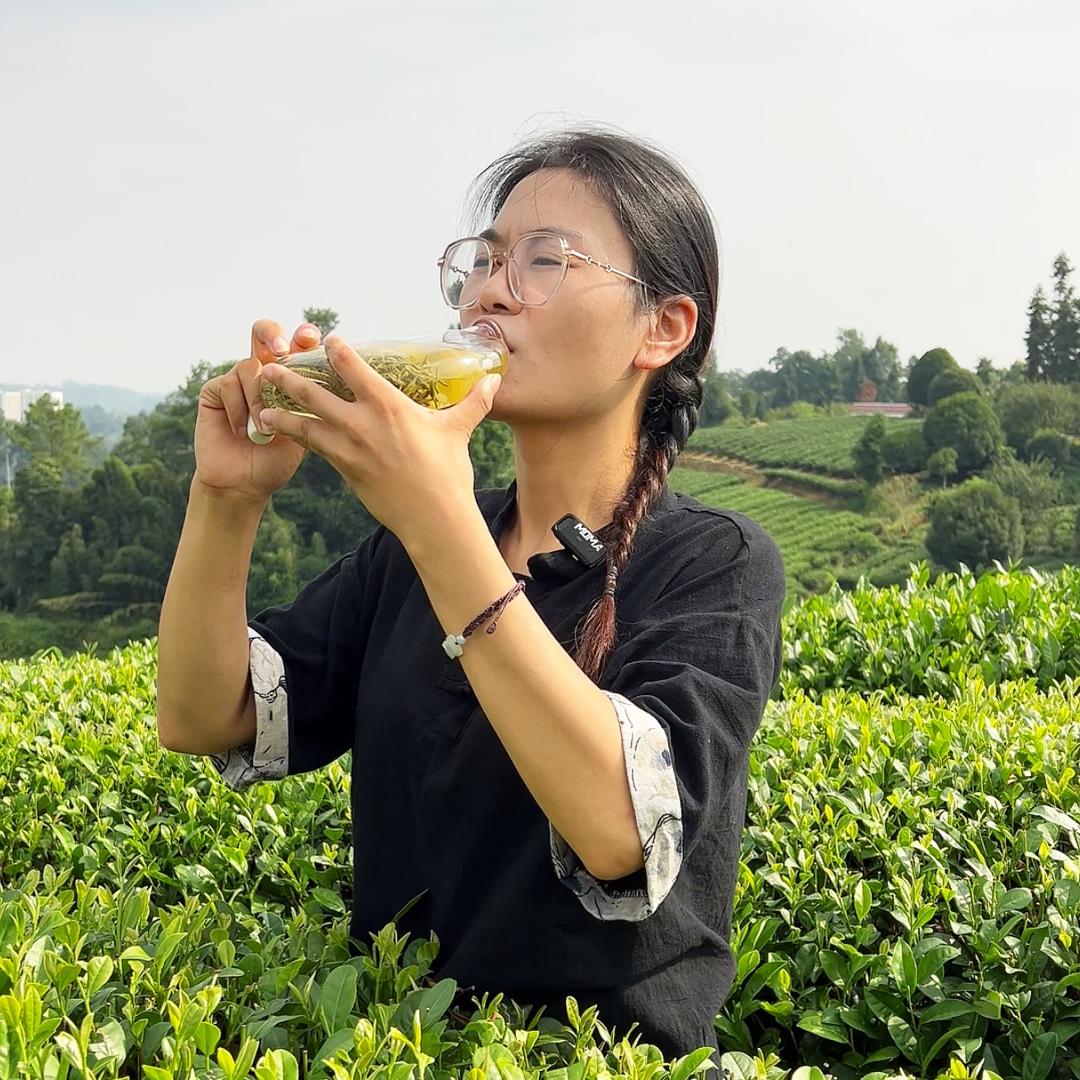 卓霖茶叶蒙山茶