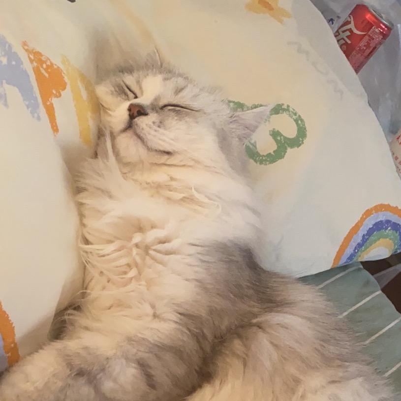方糖拆拆