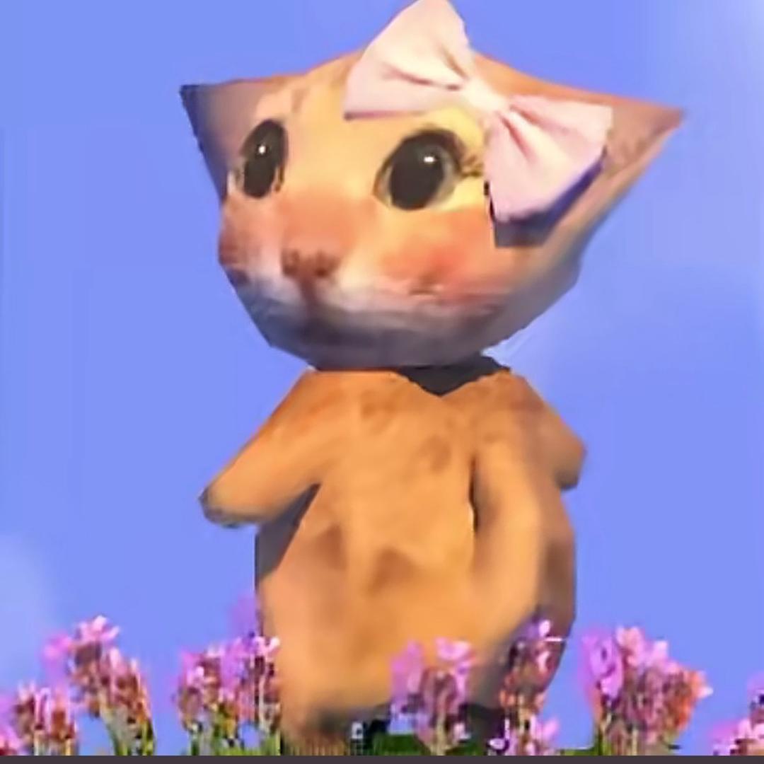 喵～喵～