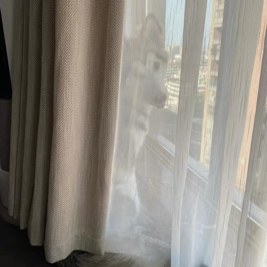 社会我咯