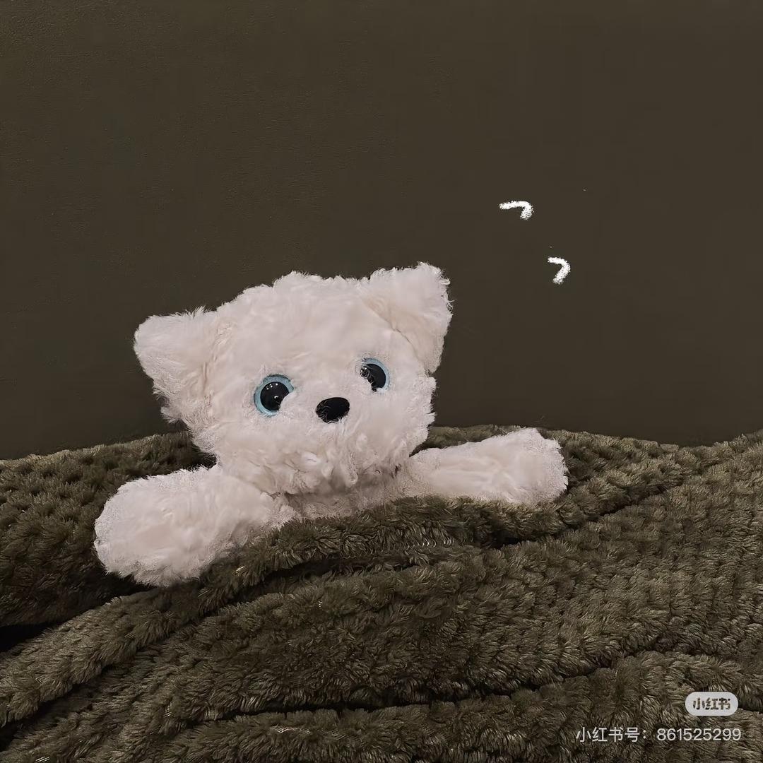 每天睡不醒-