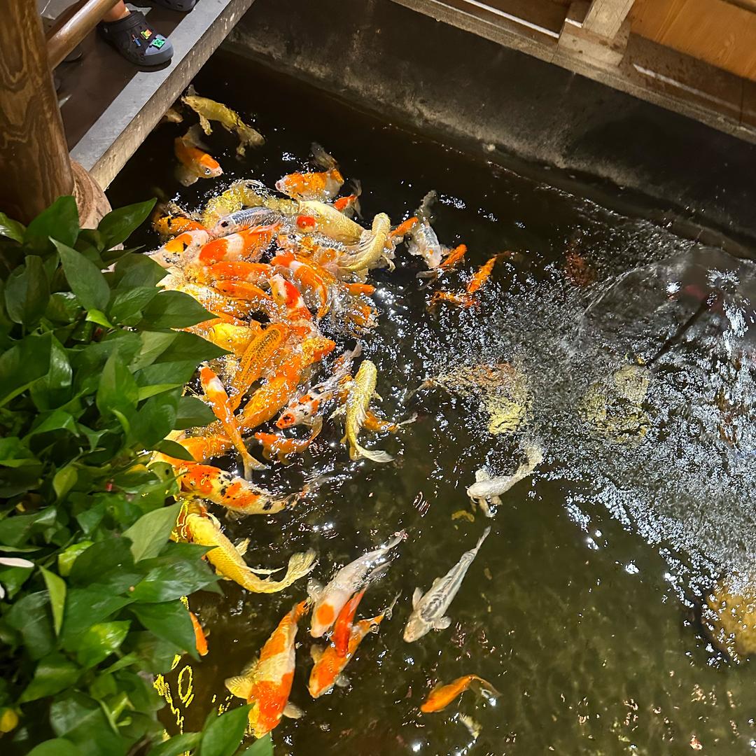 鸿运当头照🧧好运自然来🙏🙏🙏