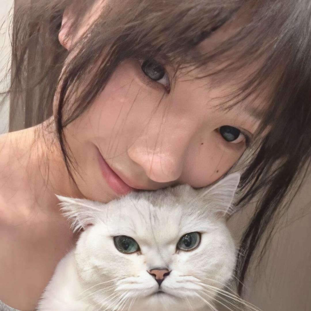不是蛋挞