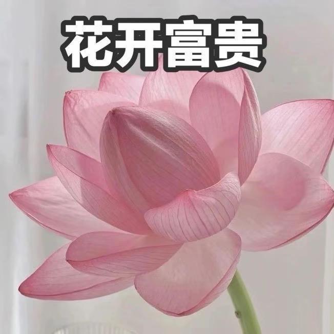 你地