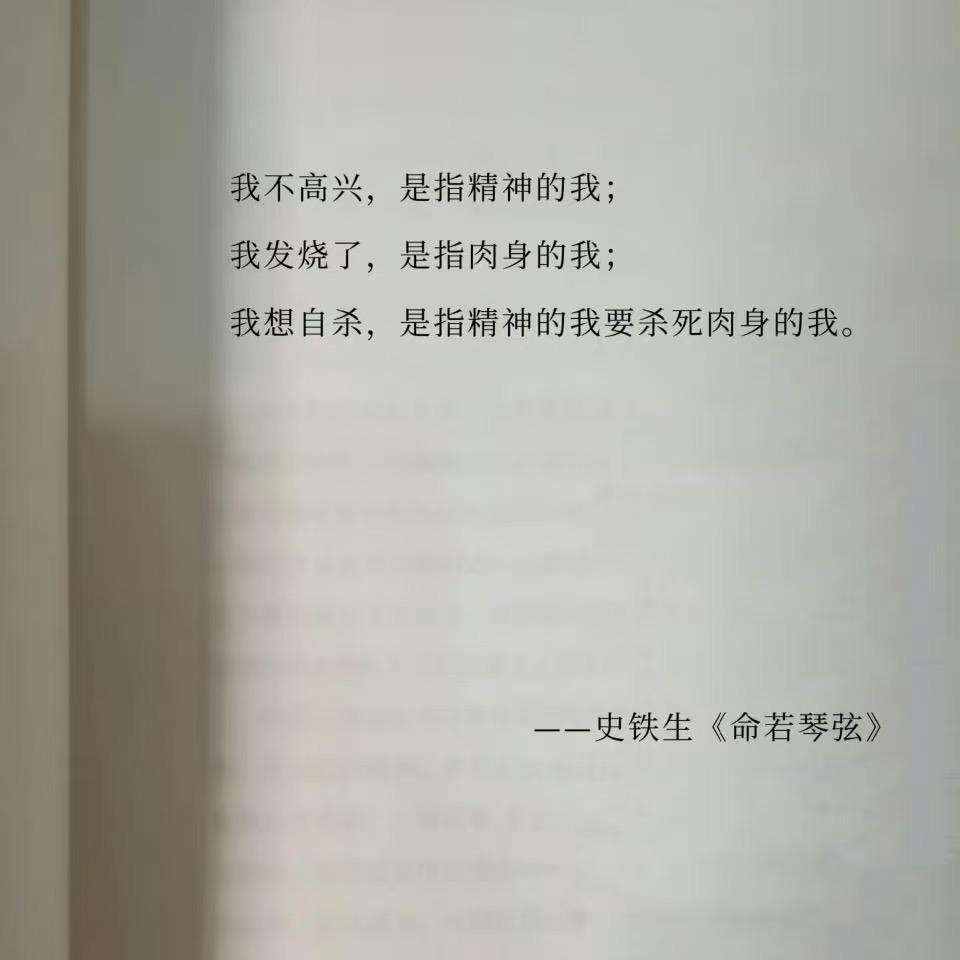 迪迦啰
