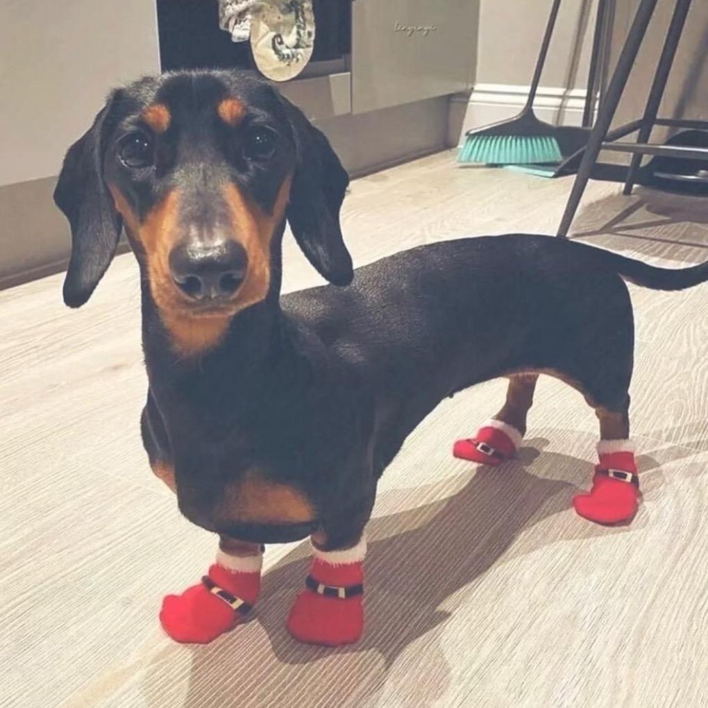 悲伤健达奇趣蛋