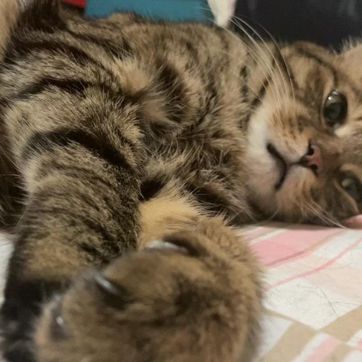 嘻嘻哈哈