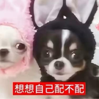 为少萝插兄弟两刀