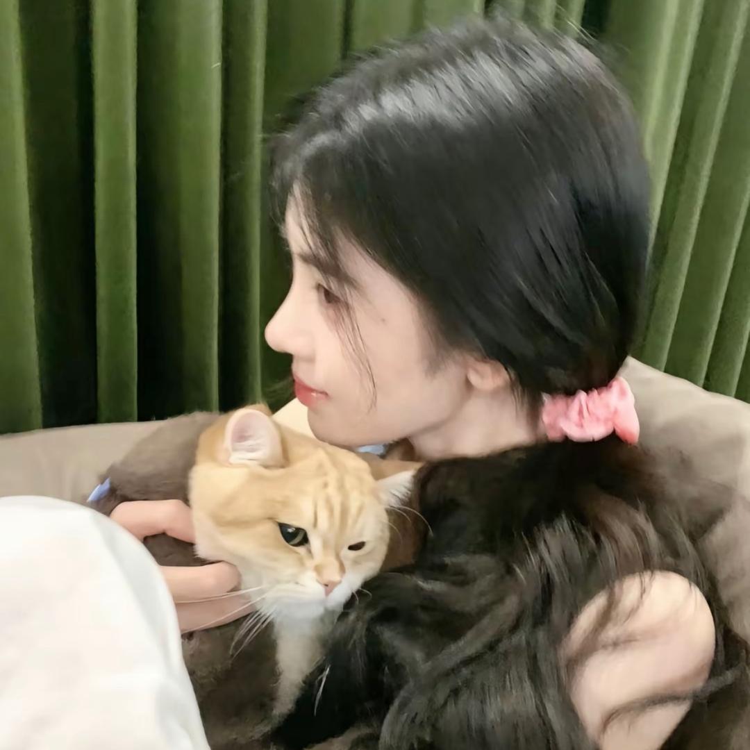 Baa°Lu⁷鞠婧祎