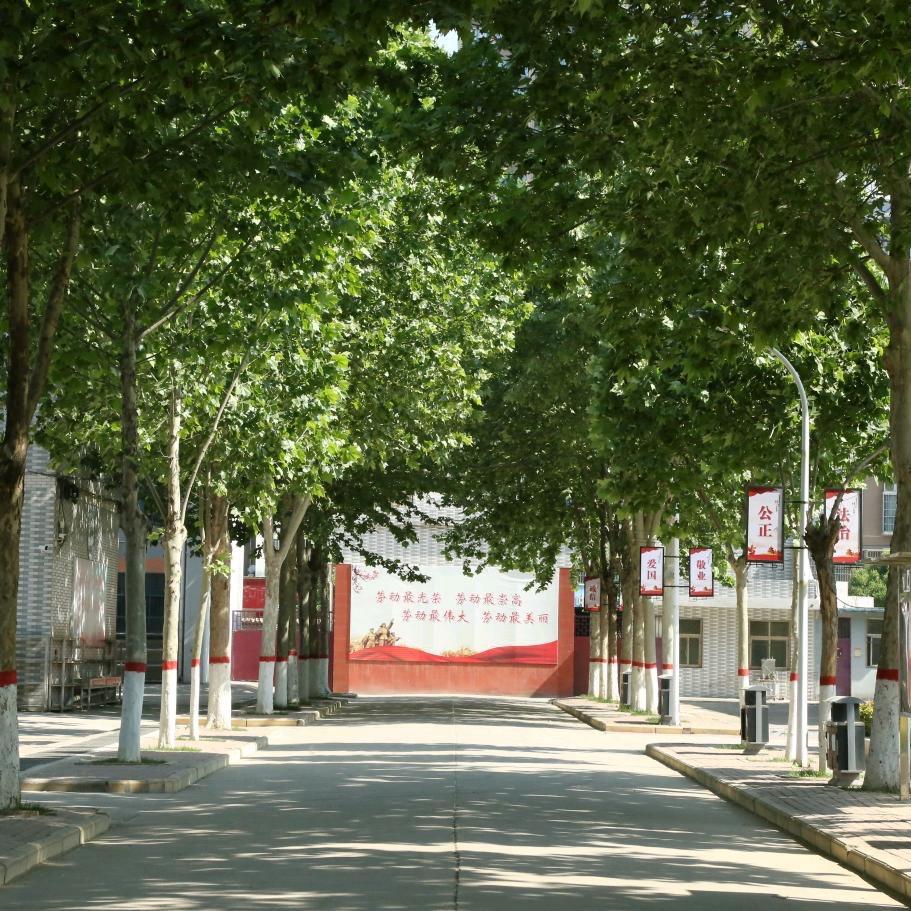 洛铁东校区升学部