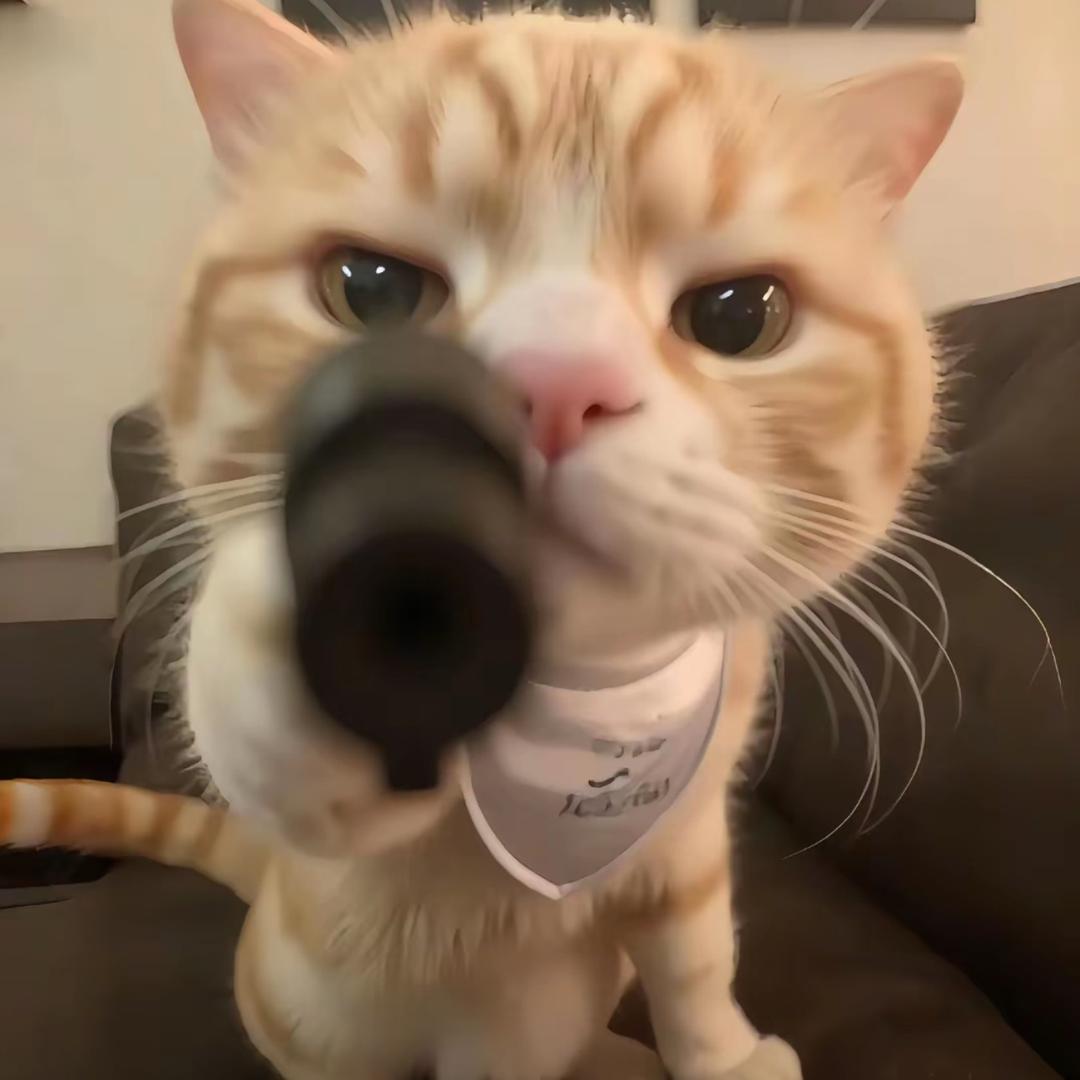 _每天都好困^