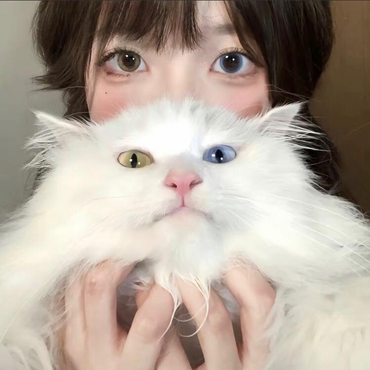 朵佳衣橱